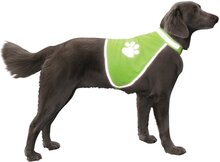 Nobby Veiligheidsvest Reflecterend Geel - Borst 39-50 cm hals 28-42 cm