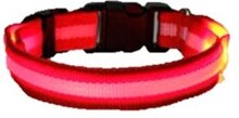 LED honden halsband - Rood L