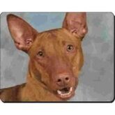 Pharaoh Hond  Muismat