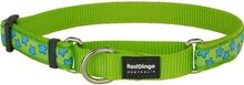 Red Dingo Martingale Correctie Halsband Hond 25mm 41-62cm MC-ST-LG-25