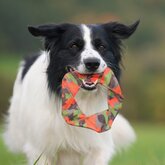 Major Dog Flying Felix