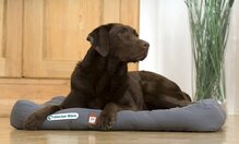 Doctor Bark hondenkussen, grijs, maat XL