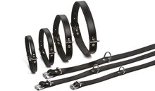 Beeztees - Hondenhalsband - Zwart - 47-57 cm X 25 mm