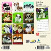 Shih Tzu Puppies Kalender 2019 Browntrout