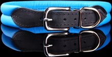 Dog's Companion Leren Halsband - 32-37 cm x 25 mm - Blauw