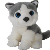 Husky van pluche 18 cm