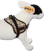Doxtasy Tuigje Hondentuig Survival harness Scottish Beige