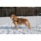 Hurtta Padded Harness 100 cm voor de hond Rood-rood OP is OP