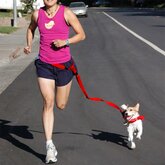 MaaHype Handsfree Jogging Touw - Hondenlijn / Aanlijnmiddelen - Hondenriem - Rood
