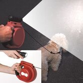 Hondenriem met ledlamp