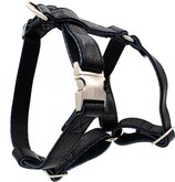 Studio Proud - Hondenharnas - zwart snakeprint - goudkleurige accenten - maat S - te combineren met bijpassende halsband