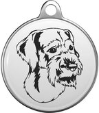 Duitse staande hond draadhaar Tommy Tag G011