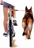 Flamingo fietsbeugel Camon Walky Dog - 60 X 3 X 3 cm zilver