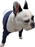 Medical Pet Shirt TAZ2 XXXS double