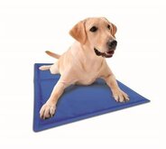 Imac chill out cooling mat 96x80 cm