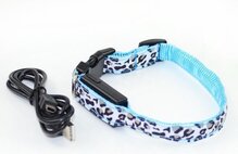 Led Halsband Panterpint Blauw - 35cm Hond