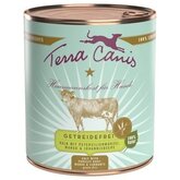 Terra Canis Graanvrij 6 x 800 g - Paard met Koolraap, Venkel & Salie
