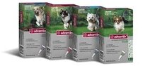 Advantix 250 10-25 kg 4 pipetten