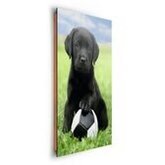 REINDERS Hond labrador voetbal - Schilderij - 60x90cm