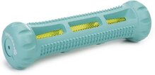 Beeztees Spilco Dental - Hondenspeelgoed - Mint - 18 cm