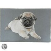 Mars & More Mat binnenmat hond mops baby