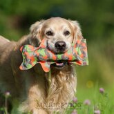 Major Dog Bottle Cat Hondenspeelgoed - Polyester