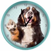 Groene hondenklok Berner Sennen