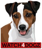 Jack Russel Terrier sticker (set van 2 stickers)