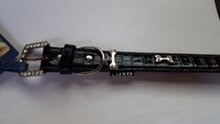 Luxo Halsband 2.5 x 62 zwart