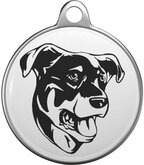 Beauceron Tommy Tag B015