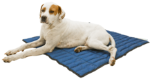 Koelmat Pacific Blue