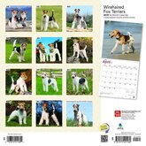 Fox Terrier Kalender Ruwhaar 2019 Browntrout
