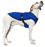 Koel Jas Hond Pacific Blue