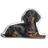 DierenSierkussen hond Teckel