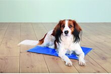 koelmat koeldoek coolingmat grote hond 65x50cm