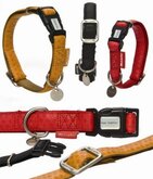 Macleather Halsband Zwart 25 mmx45-70 cm