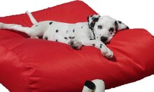 Dog's Companion Hondenkussen - L - 115 x 85 cm - Rood Coating