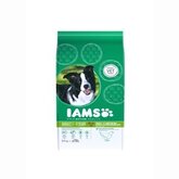 Iams Dog adult kip small medium breed Hondenvoer 3 kg