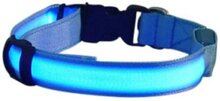 LED honden halsband - Blauw XL