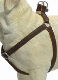 Beeztees Soft Touch Borsttuig - Bruin - L - 70-90 cm