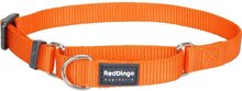 Red Dingo Martingale Correctie Halsband Hond 15mm 25-39cm MC-ZZ-OR-15