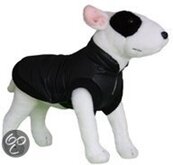 Hondenhalsband Doxtasy Blinking Bones Zwart 40cm x 15mm