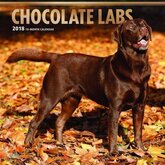 Labrador Retrievers bruin honden kalender 2018