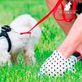 Honden Poepzakjes