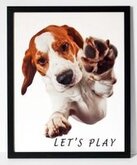 Hondenposter met tekst 2  dieren/lijst zwart/funny