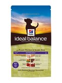 Hill's Canine Mature Adult Ideal Balance 2 kg - Hondenvoer