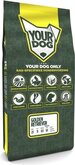Yourdog Golden Retriever Senior 12 KG