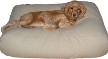 Dog's Companion Hondenkussen Canvas Katoen - XS - 55 x 45 cm - Beige