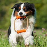 Scuffle Dummy, klein Major Dog