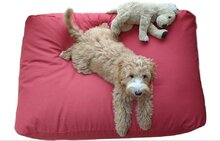 Dog's Companion Hondenkussen - S - 70 x 50 cm - Steenrood